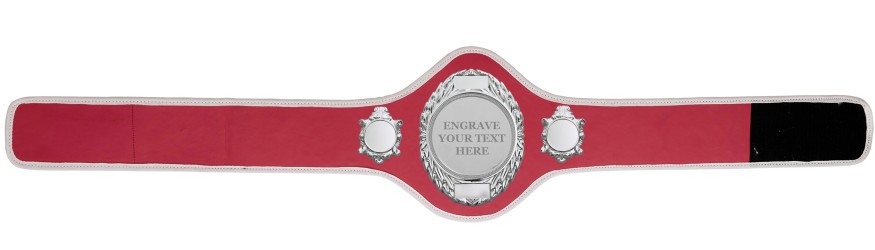 CHAMPIONSHIP BELT PRO286/S/ENGRAVE/S - AVAILABLE IN 10+ COLOURS CHAMPIONSHIP BELT PRO286/S/ENGRAVE/S - AVAILABLE IN 10+ COLOURS
